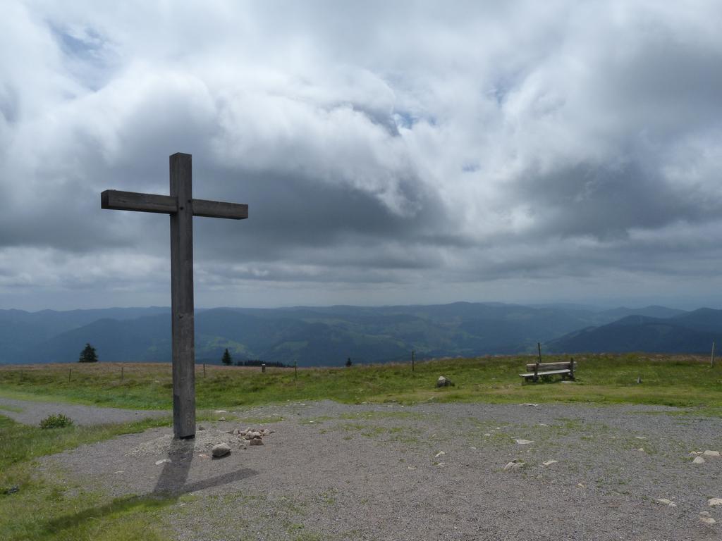 Cliqeu pour voir l'image suivante
