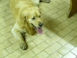 Clic pour agrandir l'image (1024x768 pixels; 73 KB)