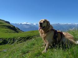 Clic pour agrandir l'image (1024x768 pixels; 124 KB)