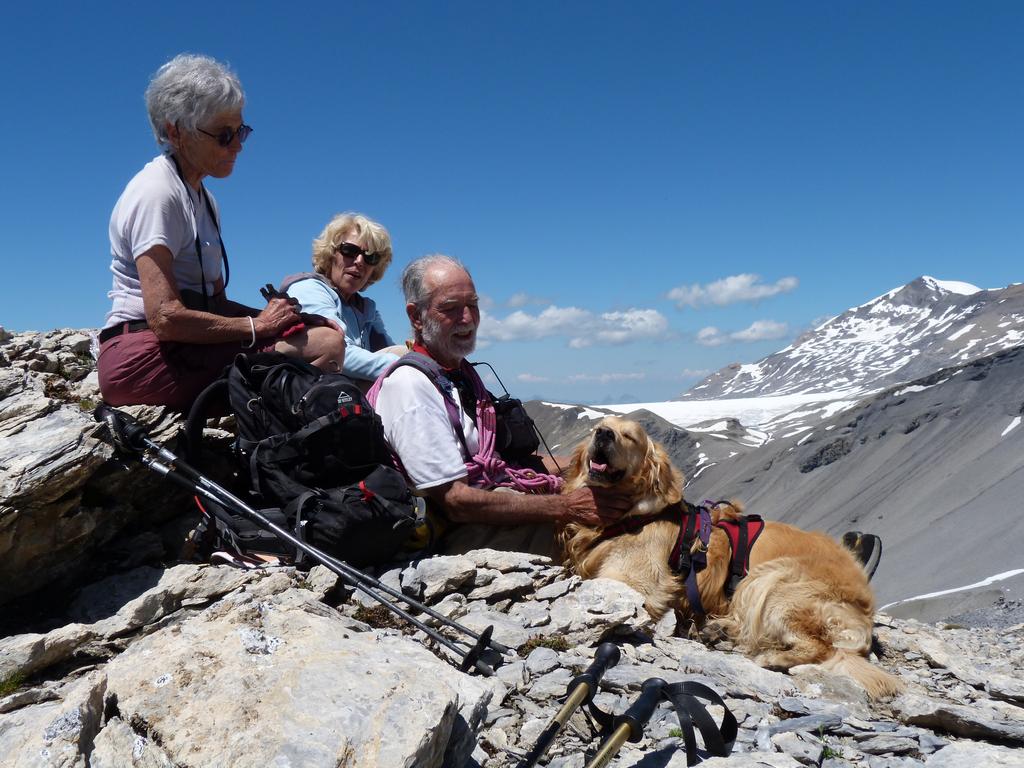 Cliqeu pour voir l'image suivante