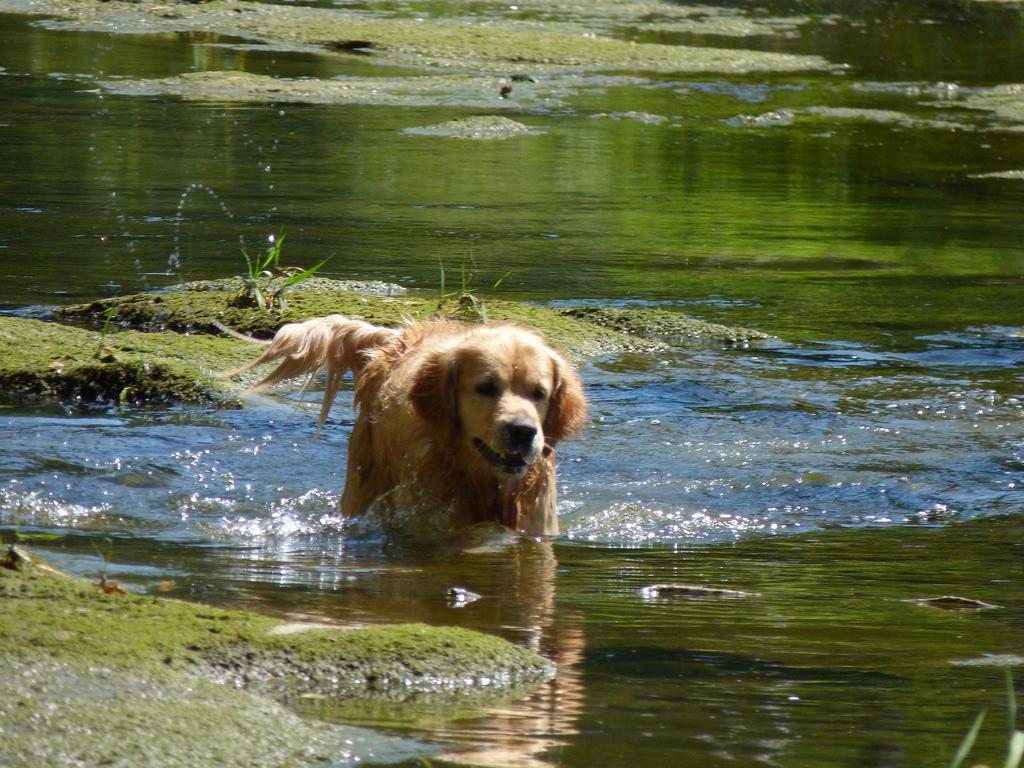 Clique pour voir l'image suivante