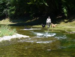 Clic pour agrandir l'image (1024x768 pixels; 160 KB)