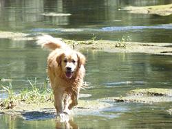 Clic pour agrandir l'image (1024x768 pixels; 136 KB)