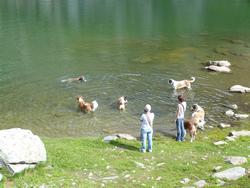 Clic pour agrandir l'image (1024x768 pixels; 148 KB)