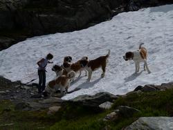 Clic pour agrandir l'image (1024x768 pixels; 119 KB)