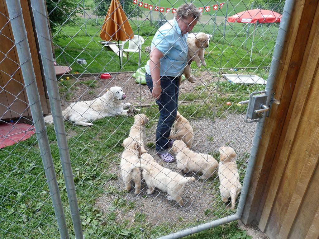 Clic pour l'image suivante