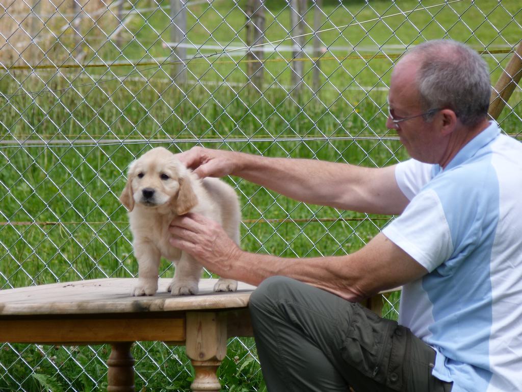 Clic pour l'image suivante