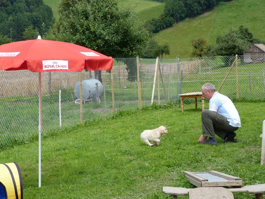 Clic pour l'image suivante