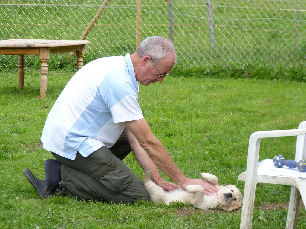 Clic pour l'image suivante