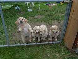 Clic pour agrandir l'image (1024x768 pixels; 162 KB)