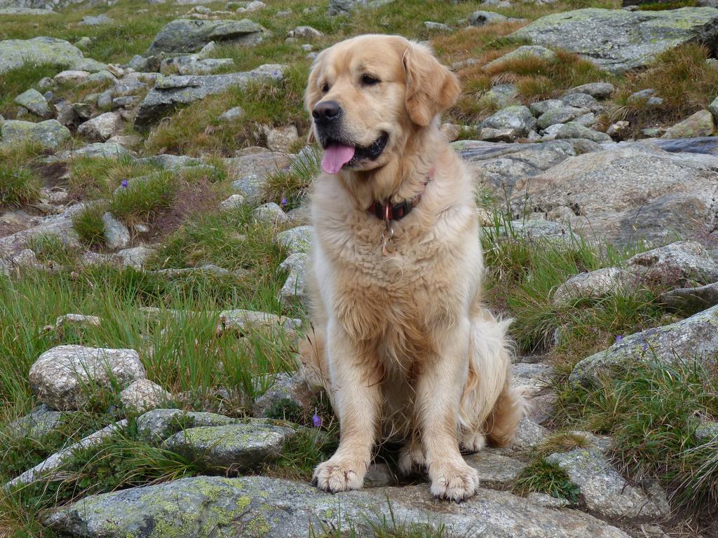 Clic pour l'image suivante