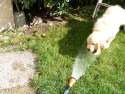 Clic pour agrandir l'image (1024x768 pixels; 242 KB)