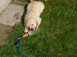 Clic pour agrandir l'image (1024x768 pixels; 244 KB)