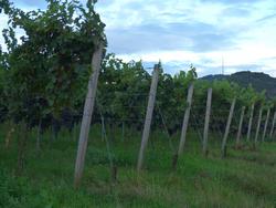 Clic pour agrandir l'image (1024x768 pixels; 119 KB)