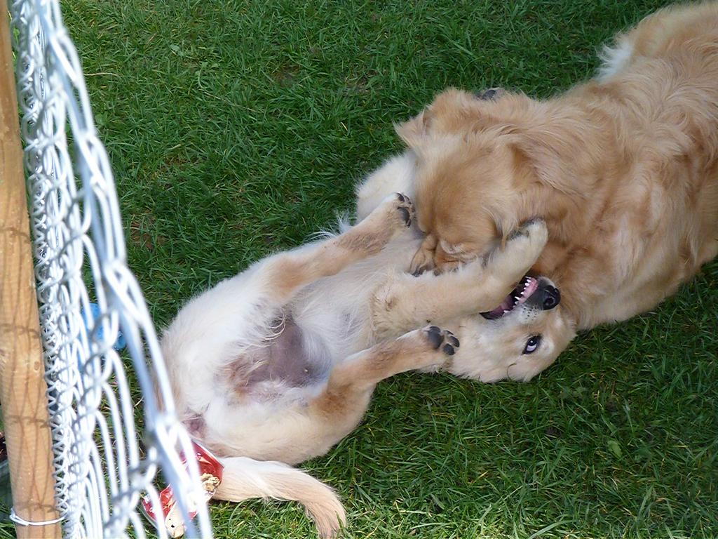 Clic pour l'image suivante