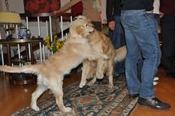 Clic pour agrandir l'image (1024x679 pixels; 84 KB)