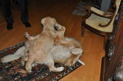 Clic pour agrandir l'image (1024x679 pixels; 71 KB)