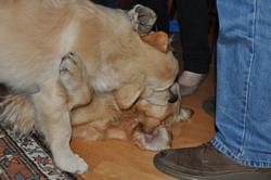 Clic pour agrandir l'image (1024x679 pixels; 72 KB)