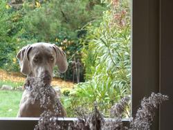 Clic pour agrandir l'image (1024x768 pixels; 121 KB)