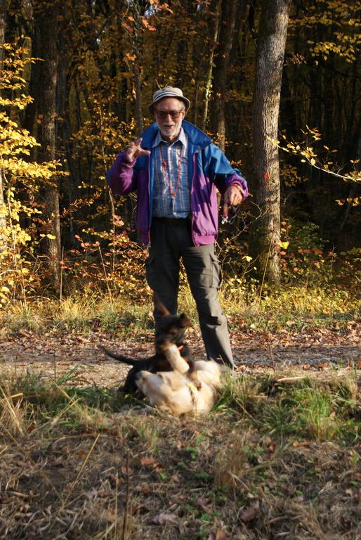 Clic pour l'image suivante