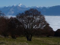 Clic pour agrandir l'image (1024x768 pixels; 125 KB)