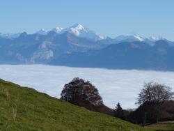 Clic pour agrandir l'image (1024x768 pixels; 85 KB)