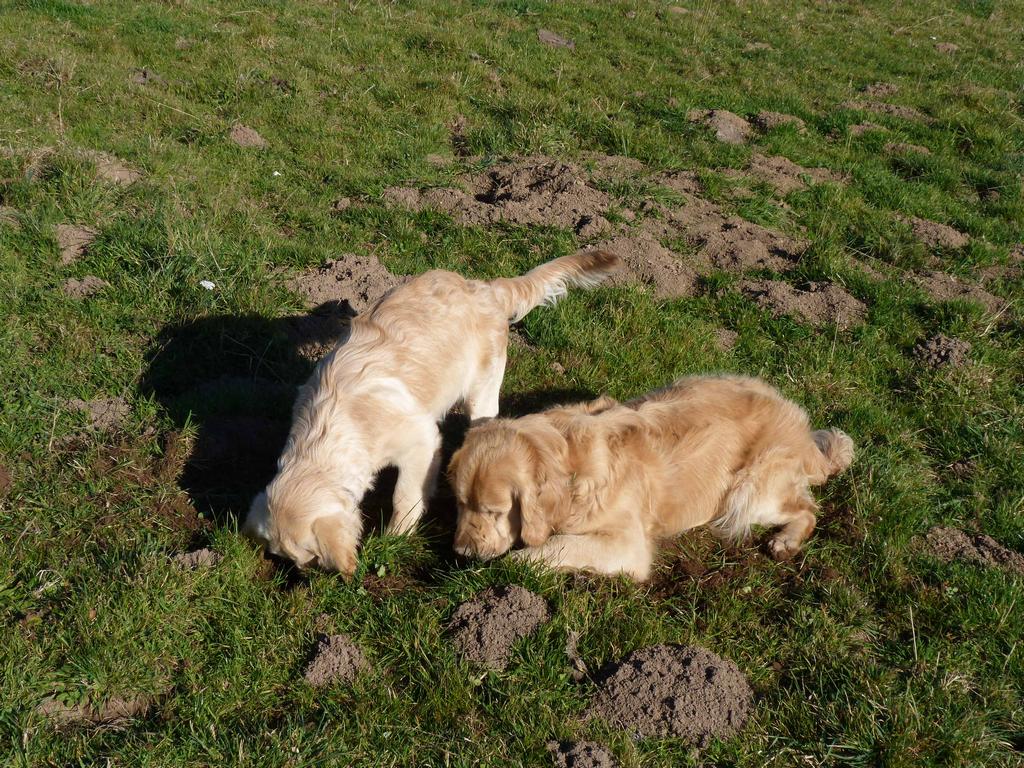 Clic pour l'image suivante