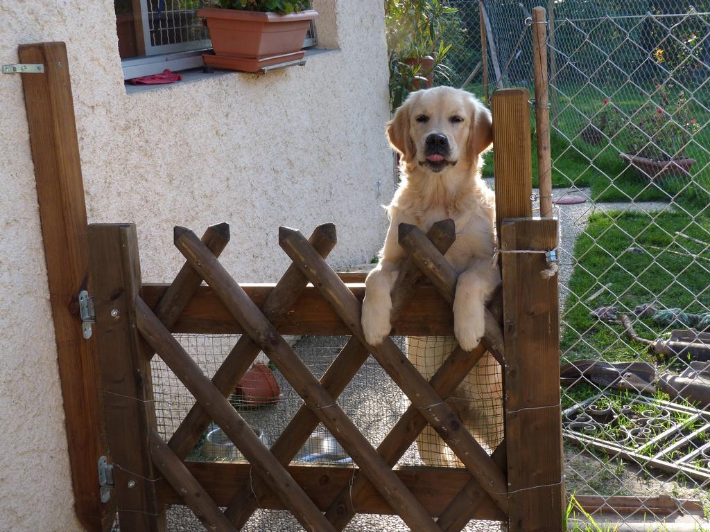 Clic pour l'image suivante