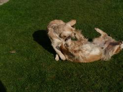 Clic pour agrandir l'image (1024x768 pixels; 165 KB)