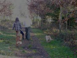 Clic pour agrandir l'image (1024x768 pixels; 157 KB)