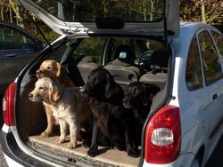 Clic pour agrandir l'image (1024x768 pixels; 129 KB)