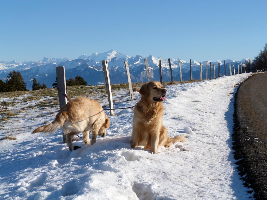 Clic pour l'image suivante