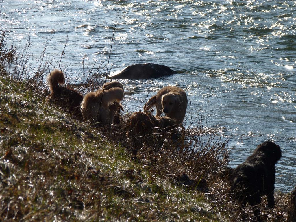 Clic pour l'image suivante