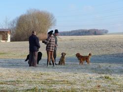 Clic pour agrandir l'image (1024x768 pixels; 170 KB)