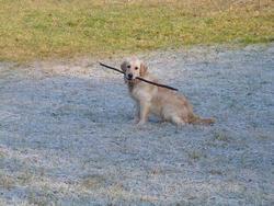 Clic pour agrandir l'image (1024x768 pixels; 199 KB)