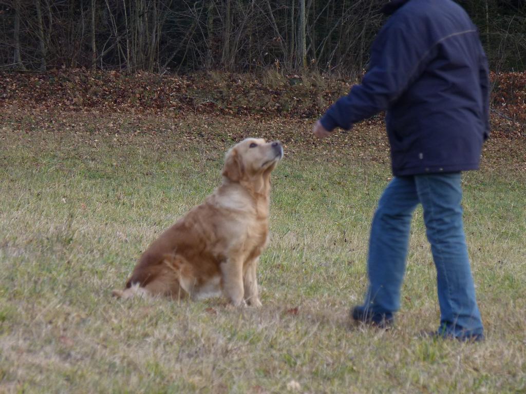 Clic pour l'image suivante