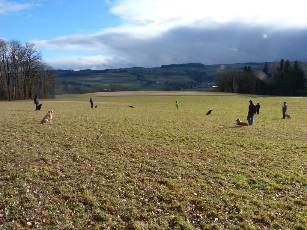 Clic pour l'image suivante