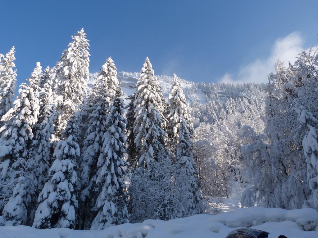 Clic pour l'image suivante