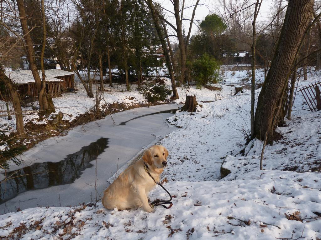 Clic pour l'image suivante