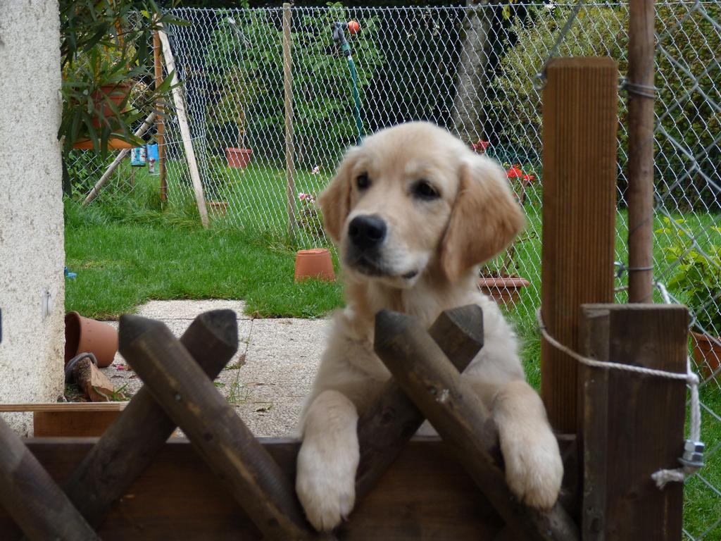 Clic pour l'image suivante