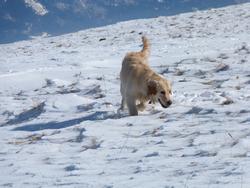 Clic pour agrandir l'image (1024x768 pixels; 107 KB)