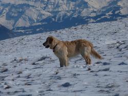 Clic pour agrandir l'image (1024x768 pixels; 109 KB)