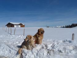 Clic pour agrandir l'image (1024x768 pixels; 70 KB)