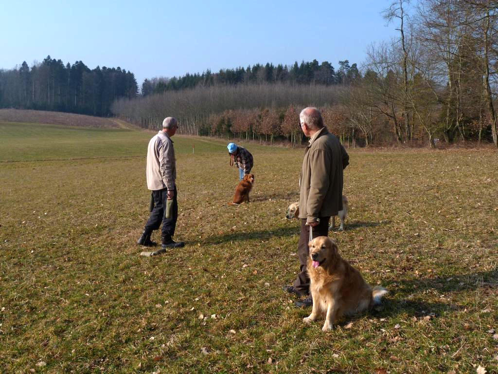 Clic pour l'image suivante