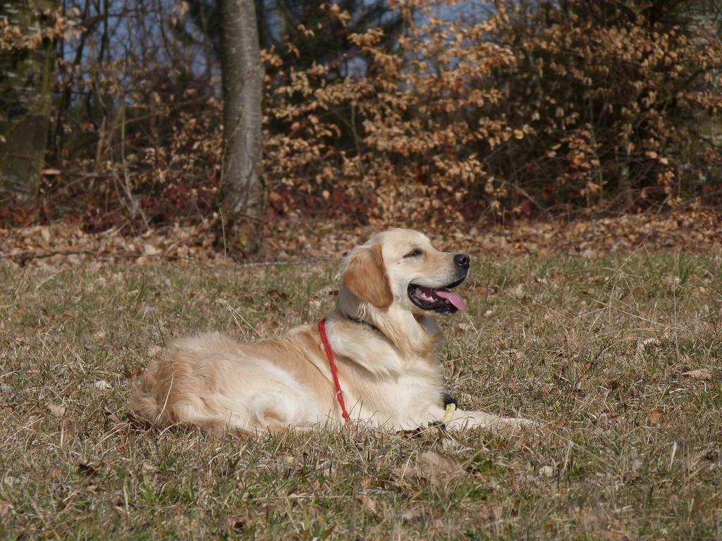 Clic pour l'image suivante