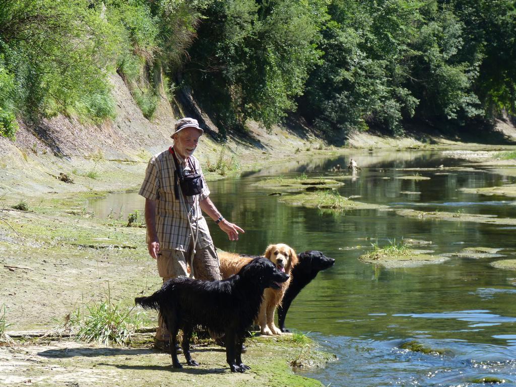 Clic pour l'image suivante