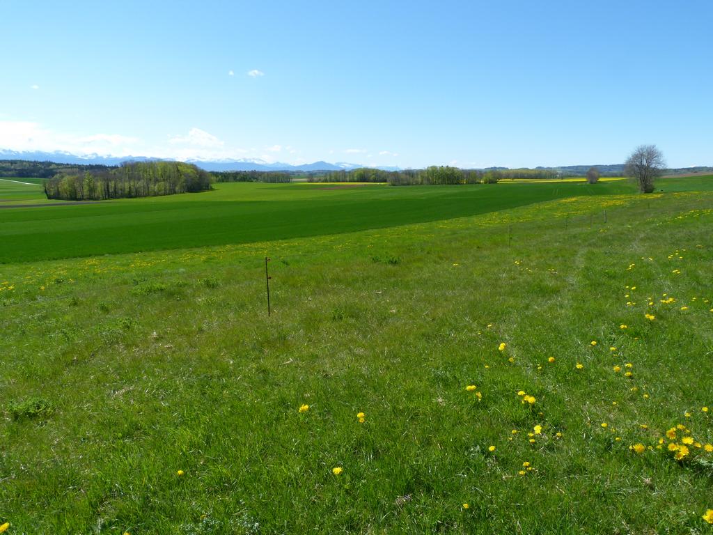 Clic pour l'image suivante