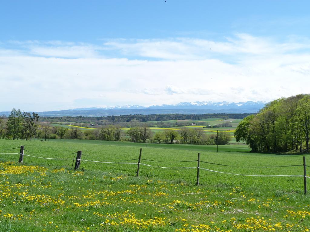 Clic pour l'image suivante