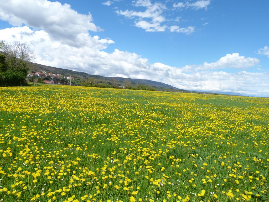 Clic pour l'image suivante