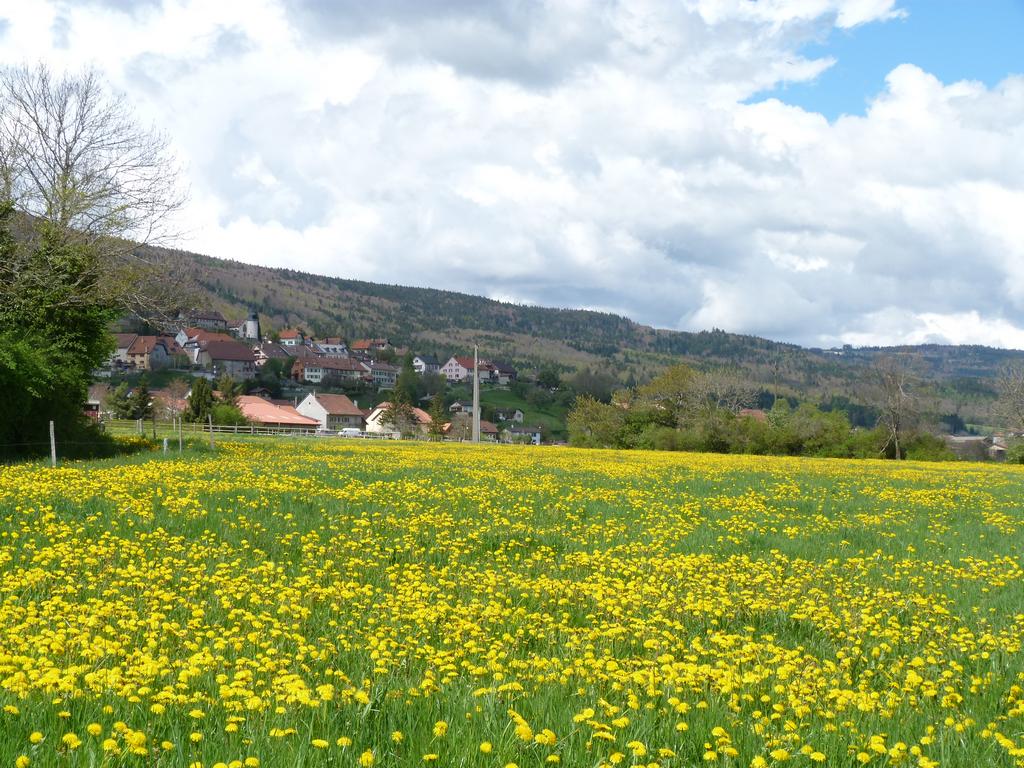 Clic pour l'image suivante